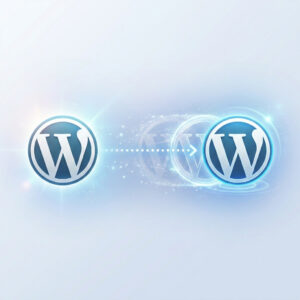 wordpress copy